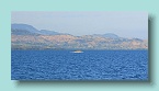 26_Trees to Port